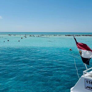 Meet your Posher, JAZ